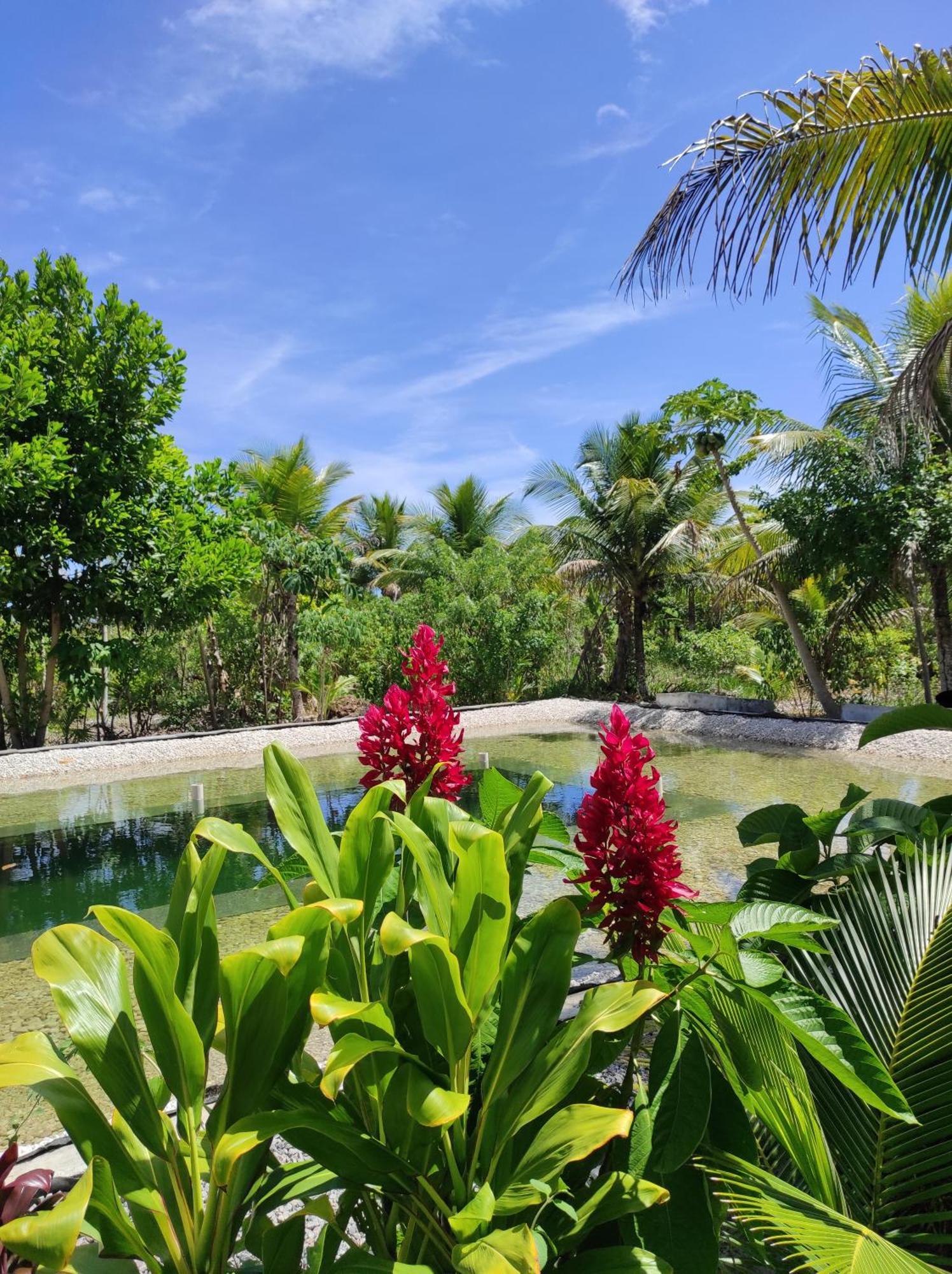 Fazenda Eco-Jardim Bed & Breakfast Una  Dış mekan fotoğraf